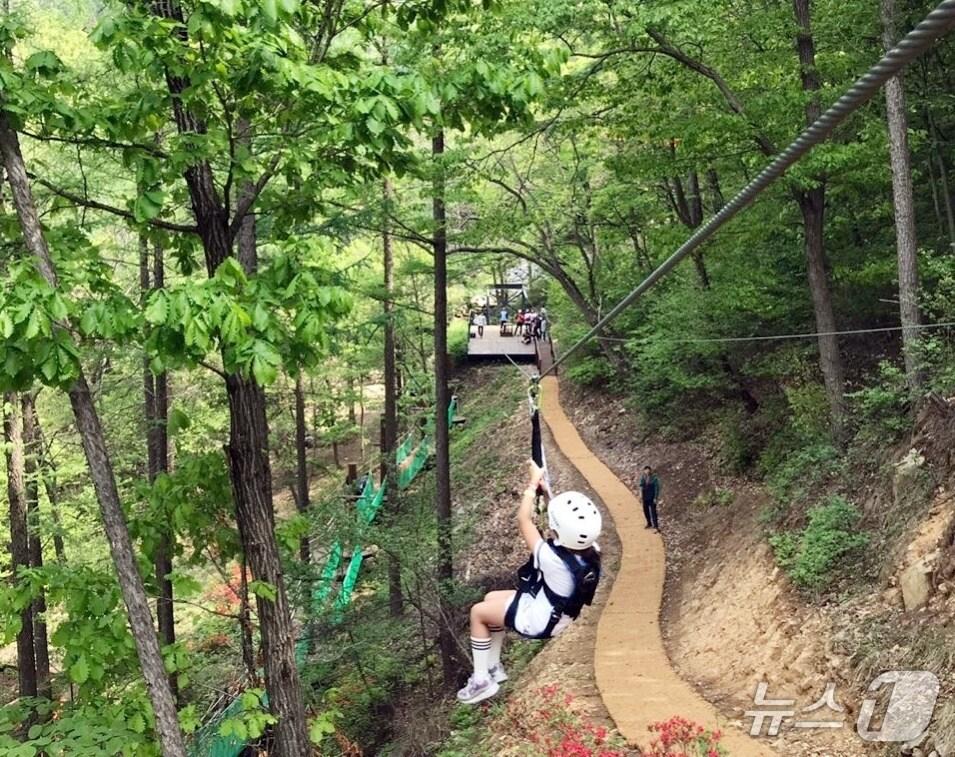 본문 이미지 - 짚트랙./뉴스1