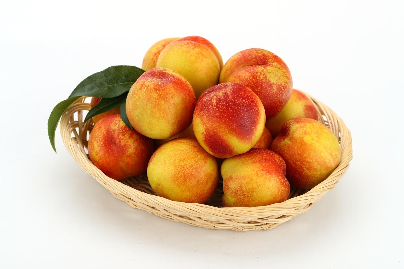 옐로드림 복숭아&#40;농촌진흥청 제공&#41; 2025.12.01 /뉴스1