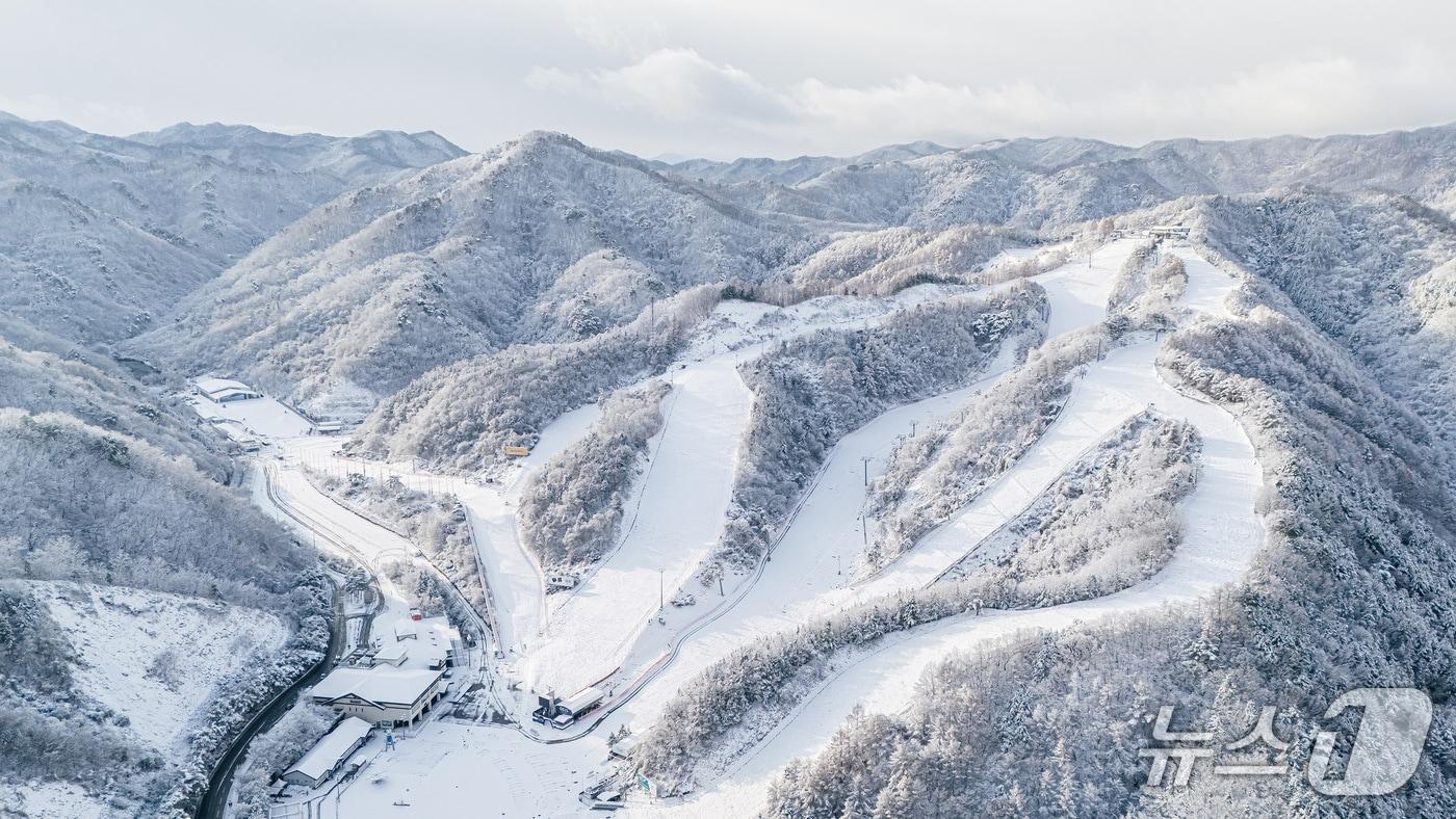 엘리시안 강촌 스키장 관련 사진.&#40;엘리시안 제공. 재판매 및 DB금지&#41;/뉴스1