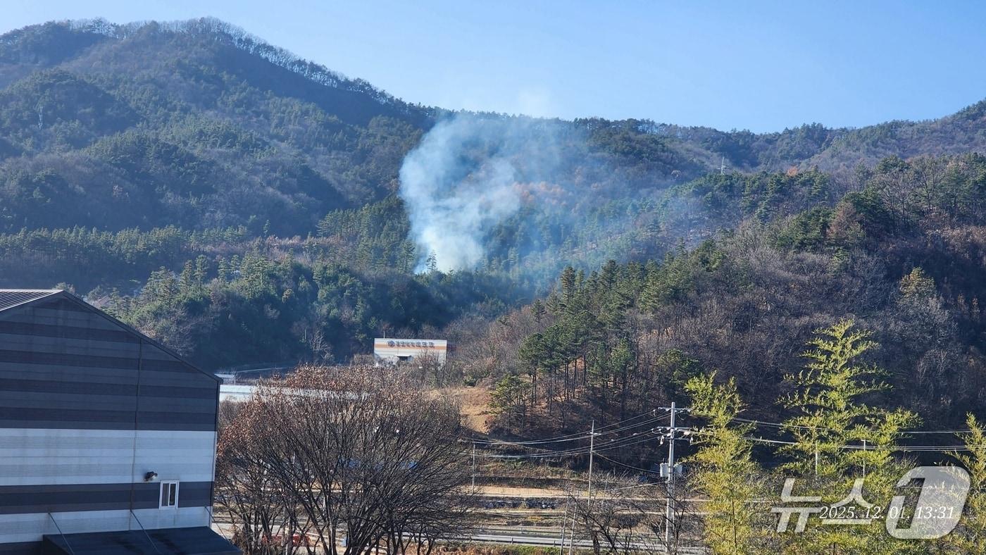 금산군 군북면 천을리 산불 현장. (산림청 제공, 재판매 및 DB금지) / 뉴스1
