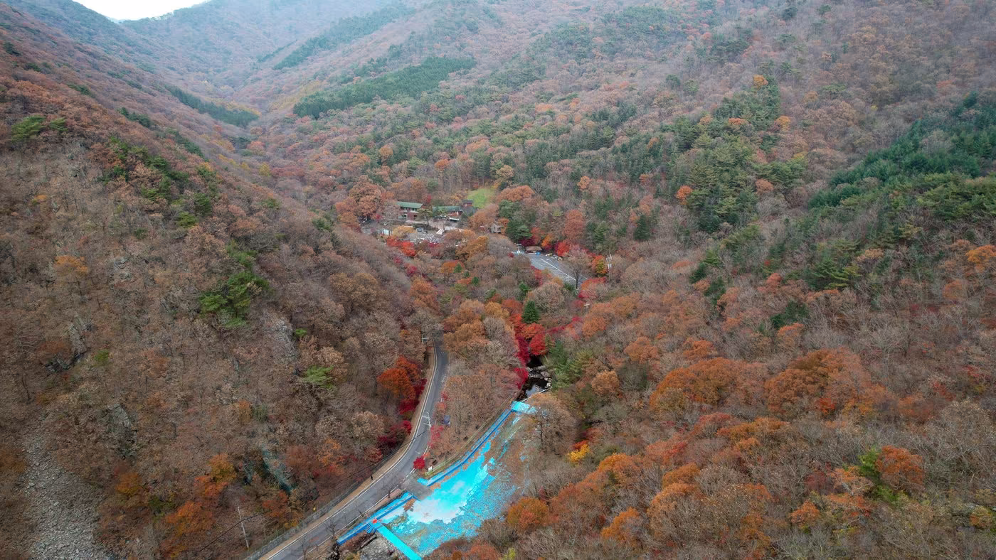 성주산 자연휴양림 전경.&#40;보령시 제공. 재판매 및 DB금지&#41;/뉴스1