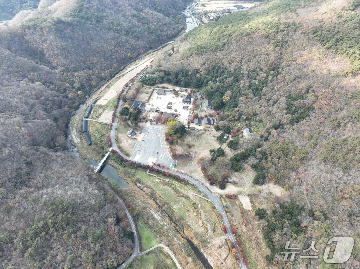 본문 이미지 - 장흥 보림사 비자림 일원.&#40;전남도 제공. 재판매 및 DB금지&#41; 2025.12.10/뉴스1