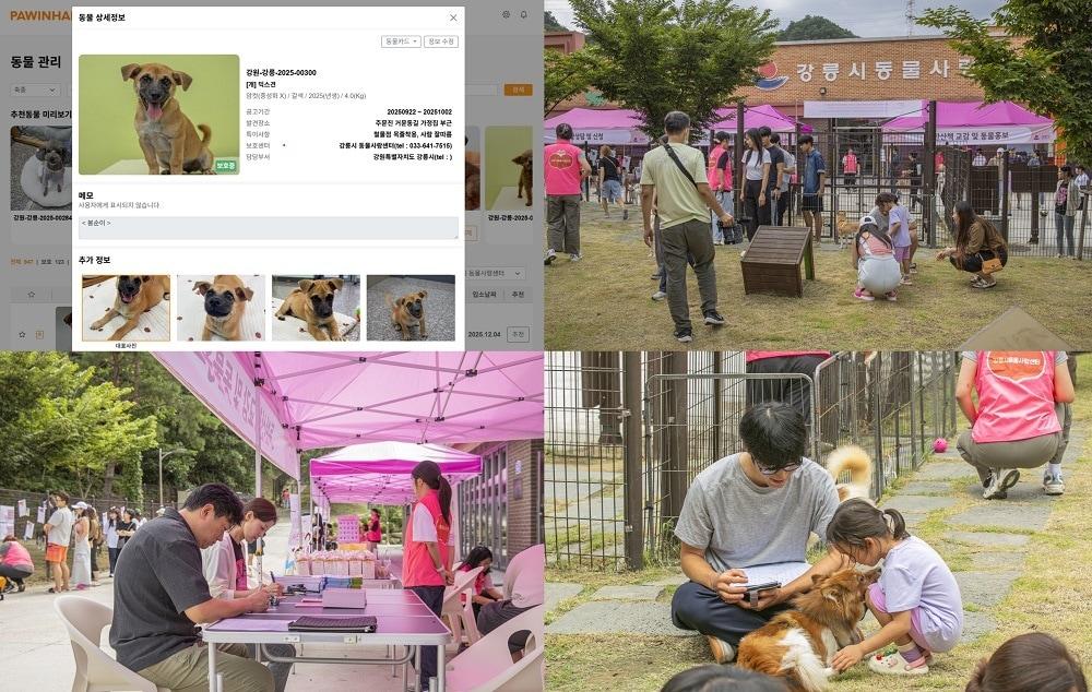 본문 이미지 - 사진=포인핸드 제공