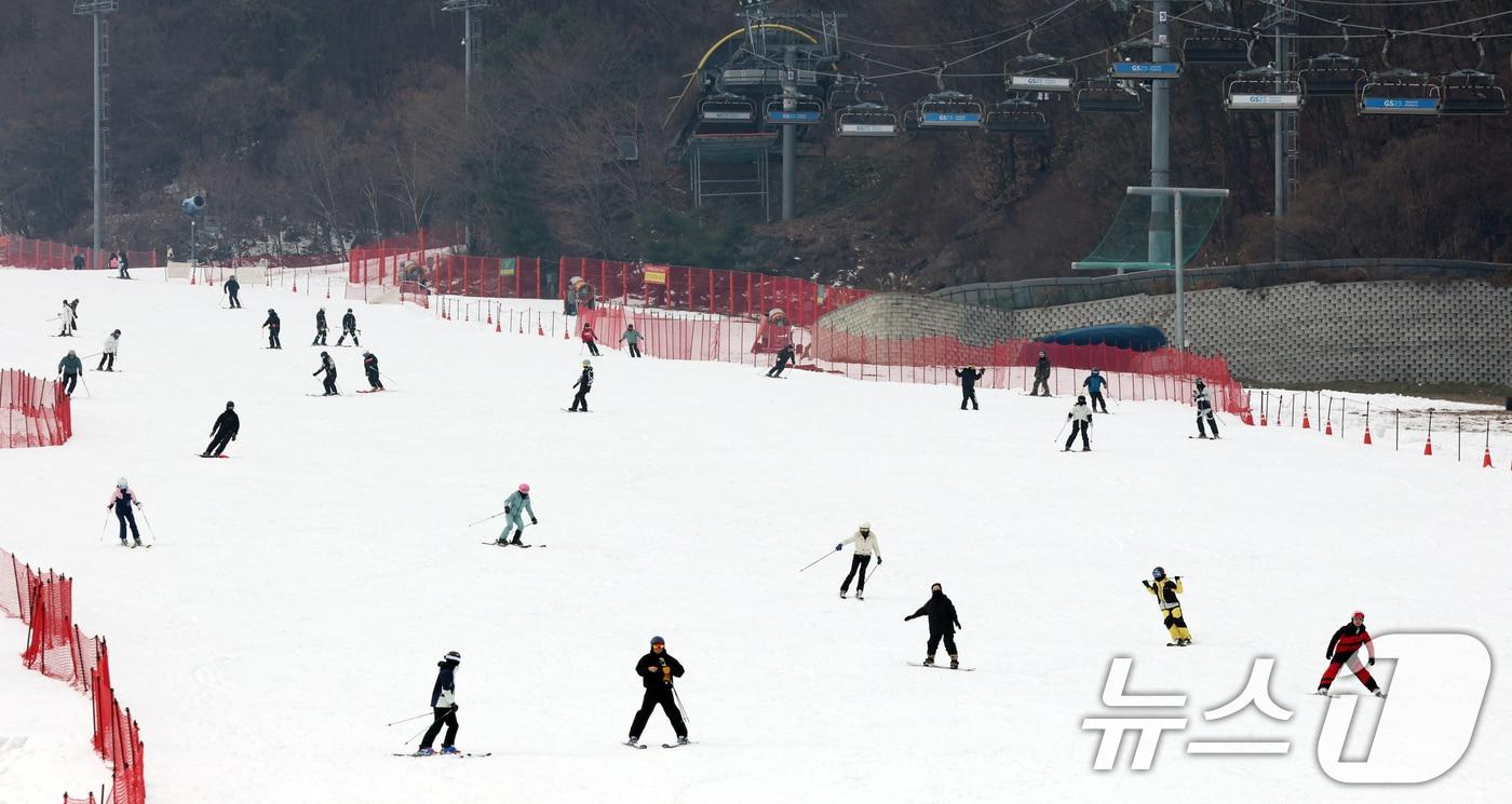 본문 이미지 - 스키장.(사진은 기사와 관련 없음)