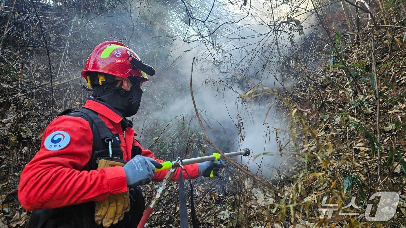 10일 강원 양양 손양면에서 발생한 산불 진화 현장.&#40;동부지방산림청 제공, 재판매 및 DB 금지&#41; 2025.12.10/뉴스1