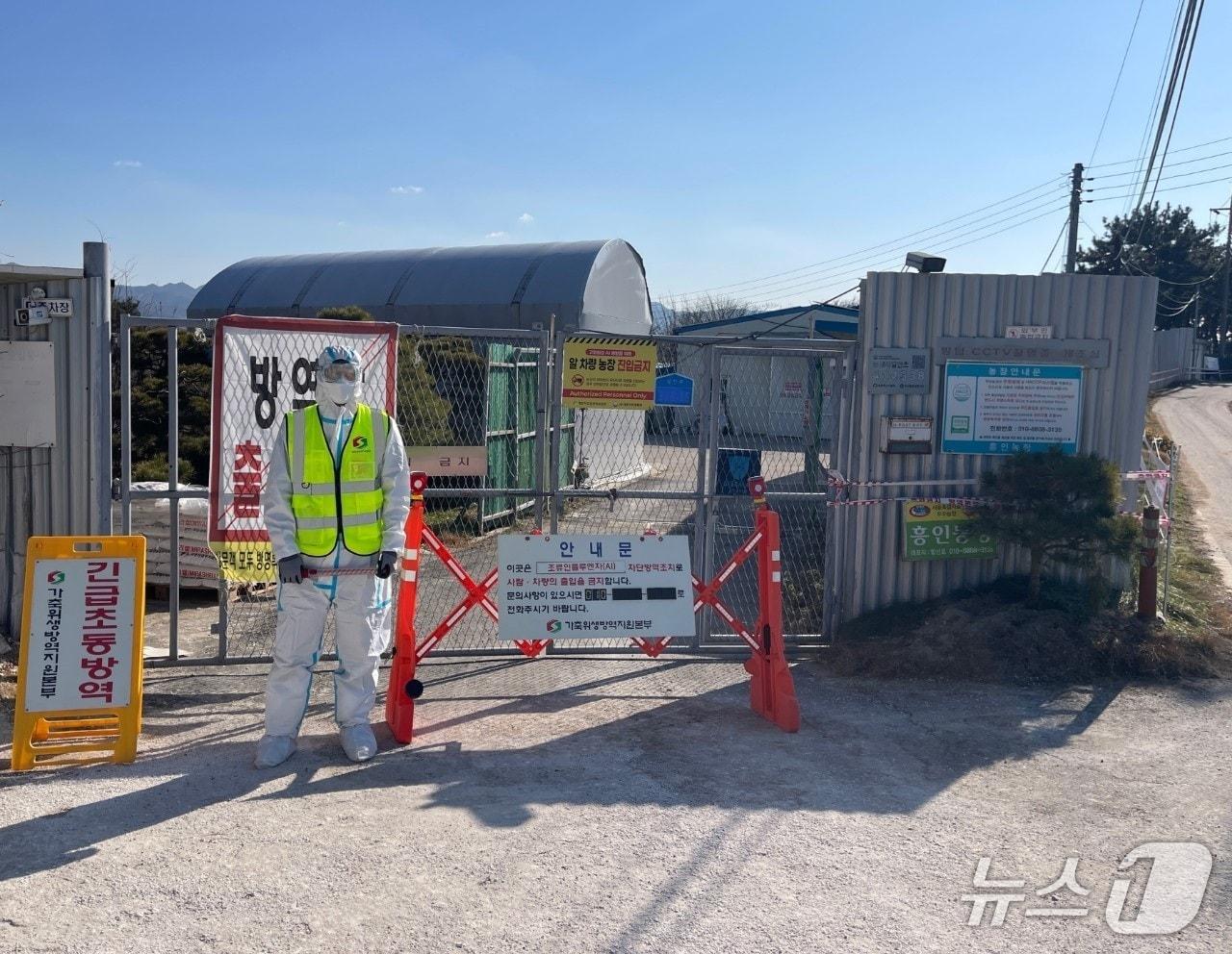 본문 이미지 - 통행이 제한된 가금류 농장.&#40;천안시청 제공. 재판매 및 DB금지&#41;