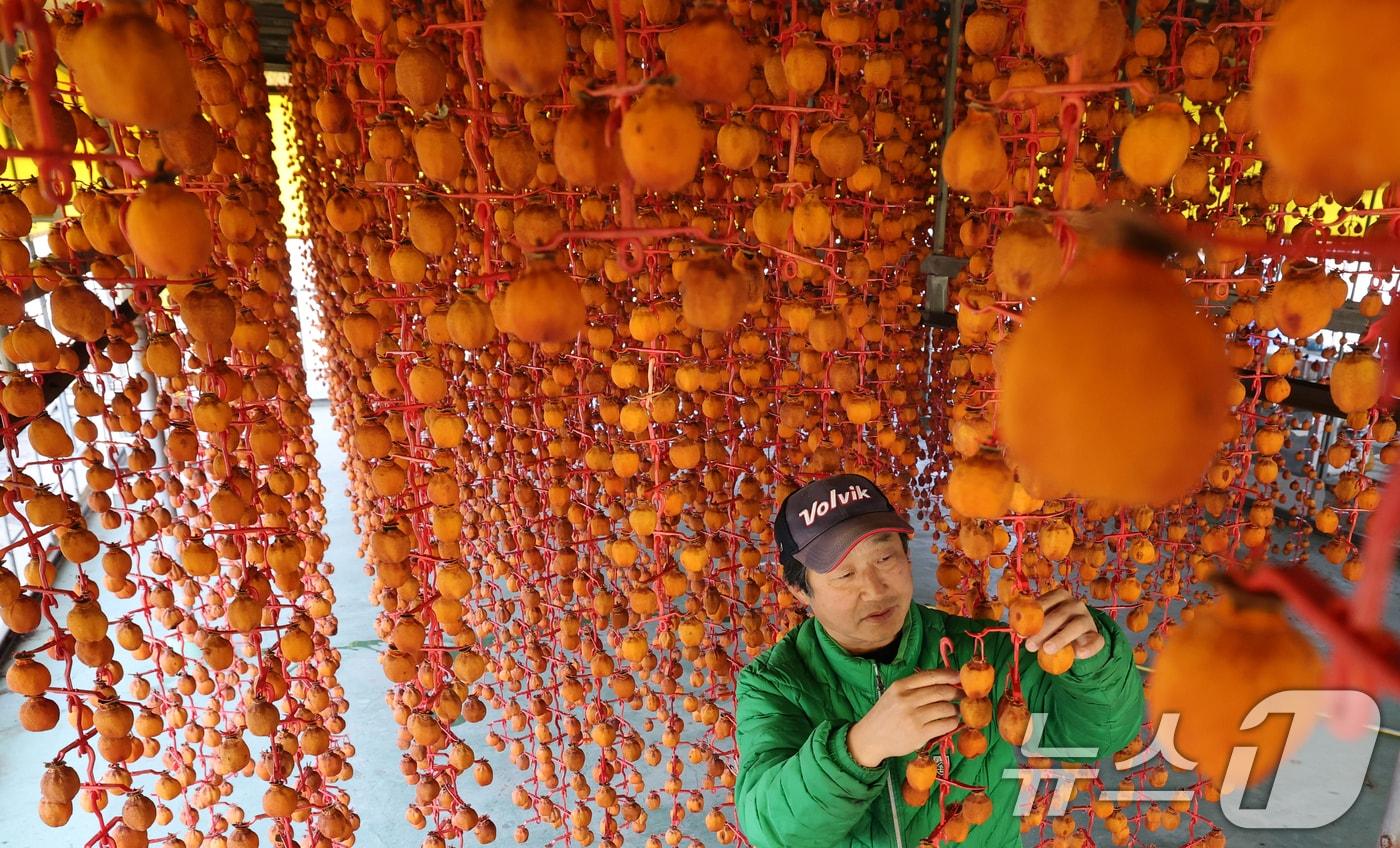 본문 이미지 - 논산 양촌면  곶감덕장 모습.(사진은 기사 내용과 무관함) / 뉴스1 ⓒ News1
