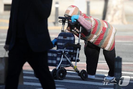 본문 이미지 - 한 노인이 보행보조기를 의지하면서 횡단보도를 건너고 있다./뉴스1 공정식 기자