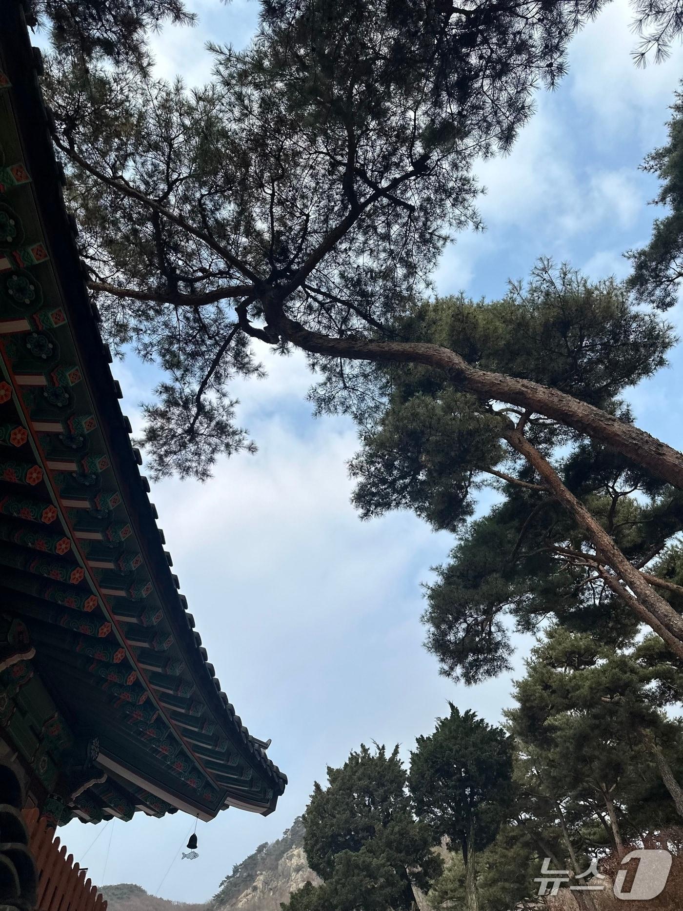 본문 이미지 - 10일 경기 양주 회암사 경내에서 본 풍경. 2025.12.10/뉴스1 ⓒ News1 이상휼 기자