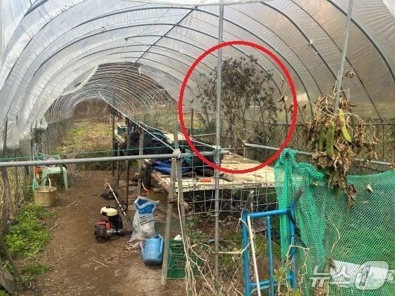 본문 이미지 - 서울경찰청 제공