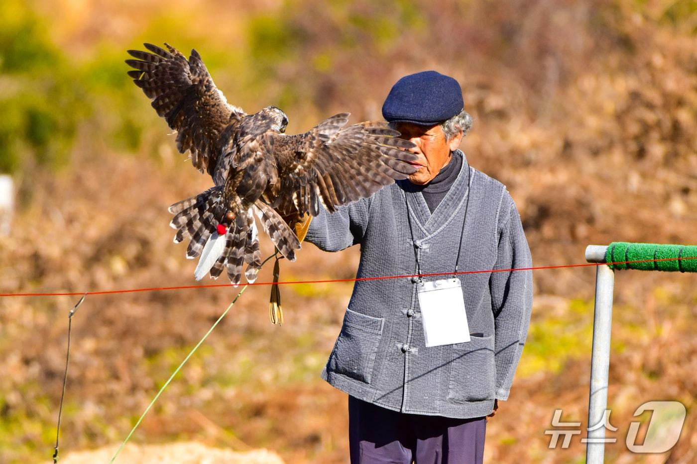 전북 무형유산인 &#39;매사냥&#39; 공개시연회가 오는 13일 오전 10시 진안군 백운면 매사냥체험홍보관 일원에서 열린다.&#40;진안군제공. 재판매 및 DB금지&#41;2025.12.11/뉴스1