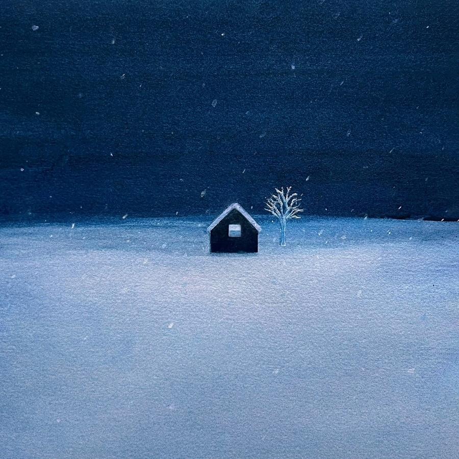 본문 이미지 - 사진제공=딩고