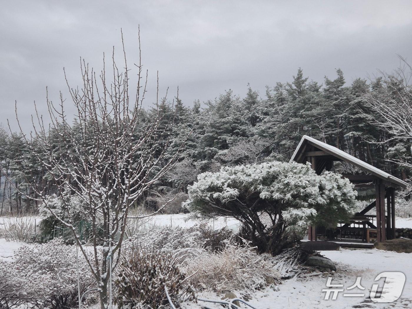 본문 이미지 - 강원 동해안과 산지를 중심으로 많은 눈이 내린 12일 강릉시 구정면의 한 농가에 눈이 내려앉아 있다.2025.12.12/뉴스1 윤왕근 기자
