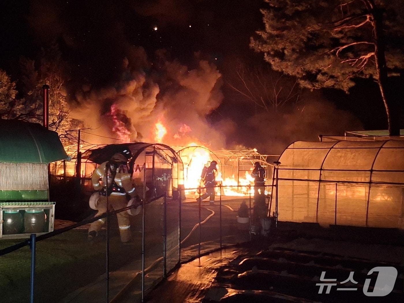 본문 이미지 - 11일 오후 6시 12분쯤 경북 경주시 효현동 비닐하우스에서 불이 나 소방 당국이 진화하고 있다.&#40;경북소방본부 제공.재판매 및 DB 금지&#41;2025.12.12/뉴스1