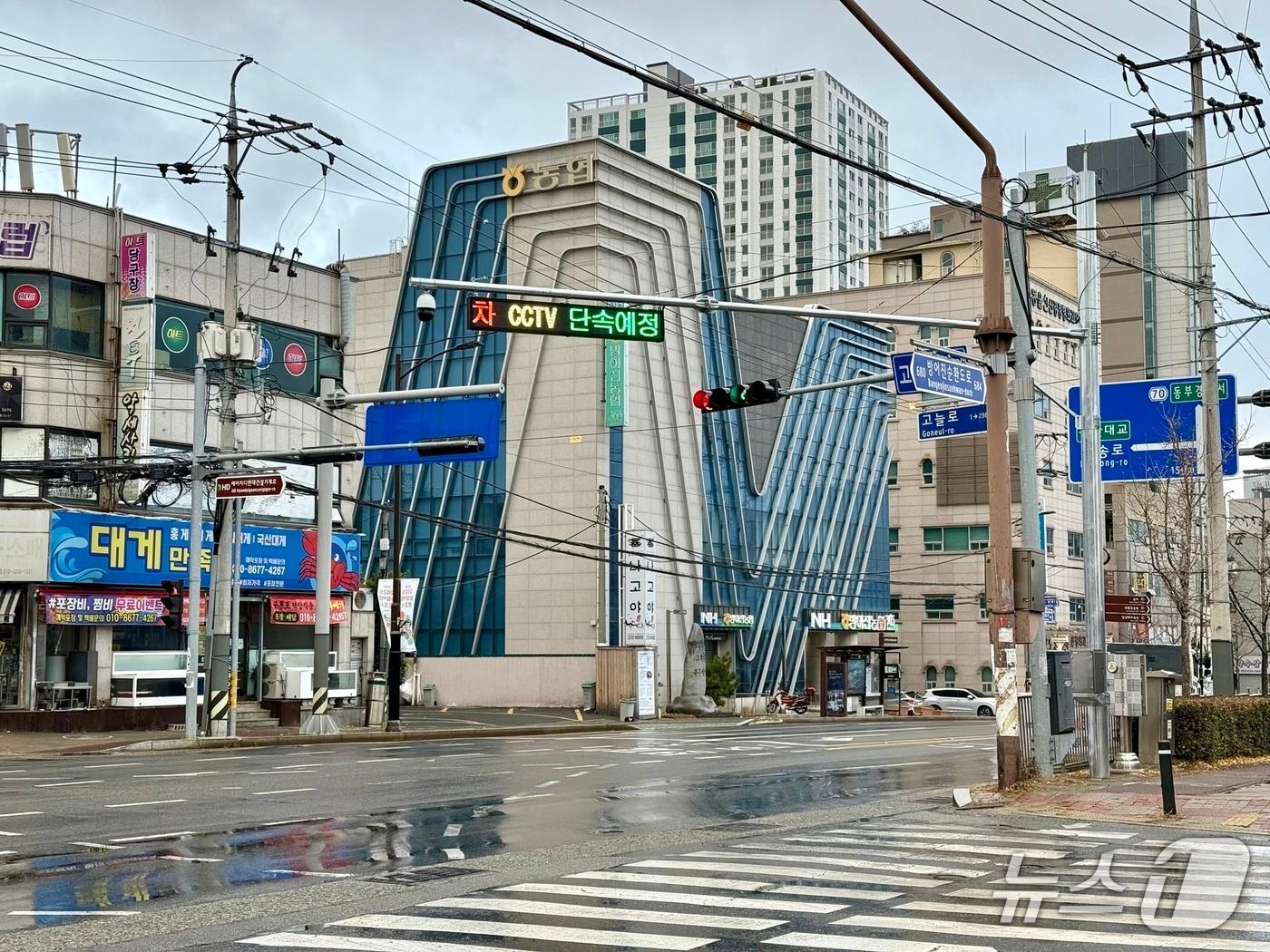 본문 이미지 - 울산 동구는 고늘사거리 일대에 고정형 불법주정차 단속 CCTV를 신규 설치했다.&#40;울산 동구 제공. 재판매 및 DB금지&#41;/뉴스1