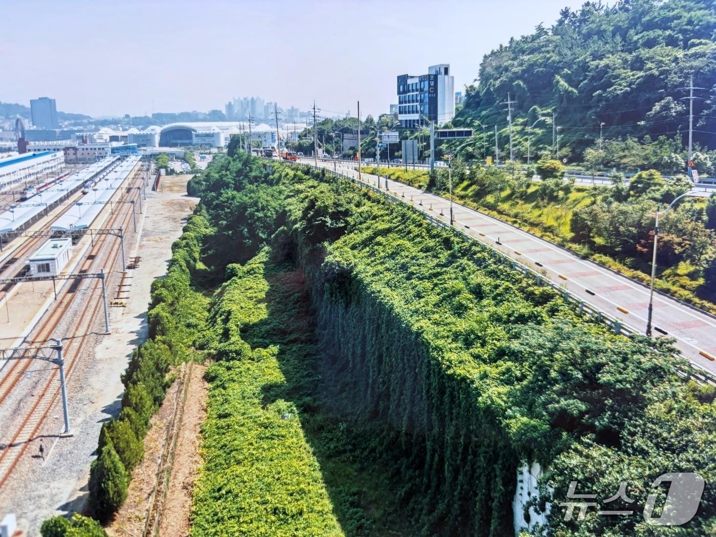 본문 이미지 - 여수시가 민원인과 갈등을 빚고있는 도로편입 잔여지. &#40;제보자 제공. 재판매 및 DB제공&#41;