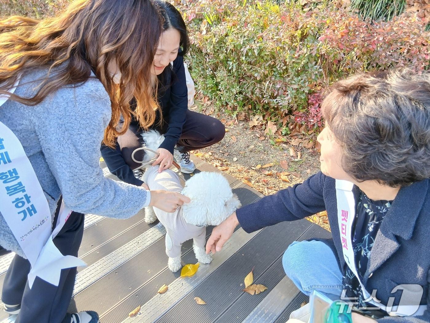 본문 이미지 -  &#40;서울 서초구 제공&#41; 