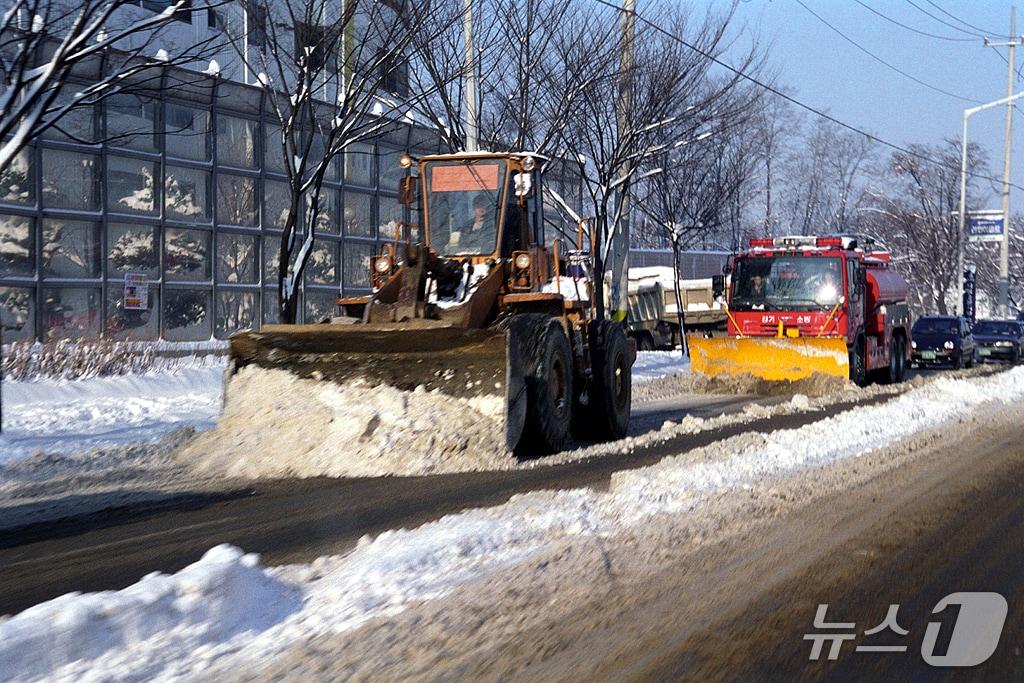 본문 이미지 -  제절 작업&#40;경기 하남시 제공. 재판매 및 DB 금지&#41;/뉴스1