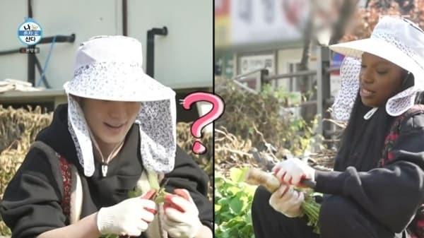 본문 이미지 - MBC &#39;나 혼자 산다&#39;