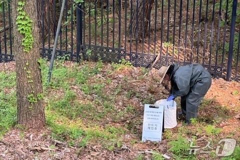 본문 이미지 -  청남대 진드기 채집.(충청북도보건환경연구원 제공. 재판매 및 DB금지)/뉴스1