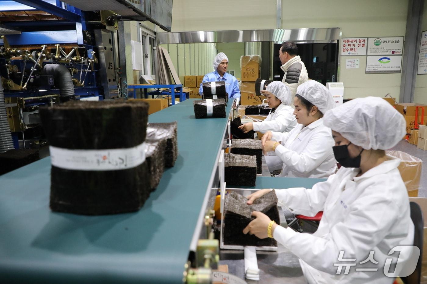 김 가공 모습.&#40;전남도 제공. 재판매 및 DB금지&#41; 2025.12.11/뉴스1