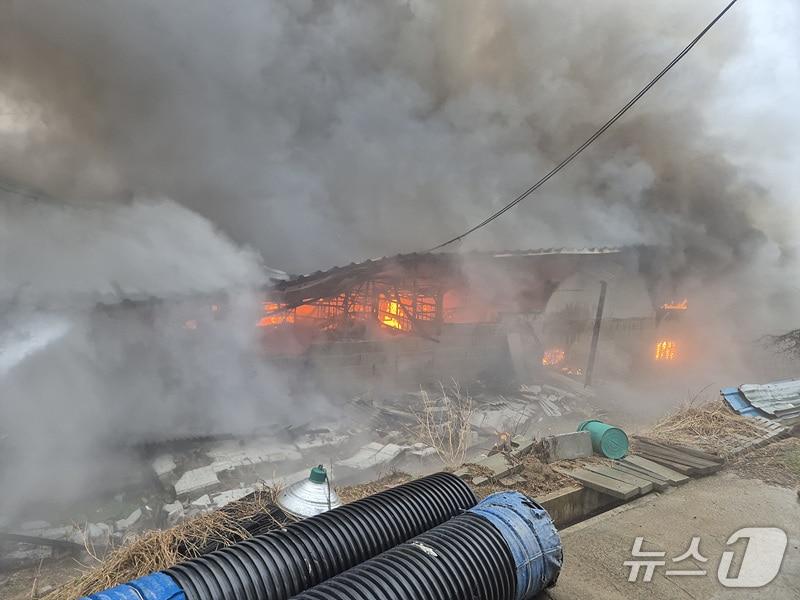 본문 이미지 -  당진 순성면 돈사 화재 현장. &#40;당진소방서 제공, 재판매 및 DB금지&#41; / 뉴스1