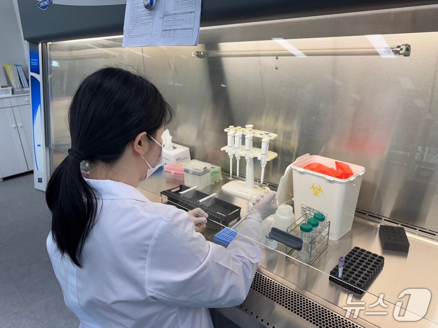 본문 이미지 - 쯔쯔가무시증 검사.(전남도 제공. 재판매 및 DB금지) 2025.12.14/뉴스1