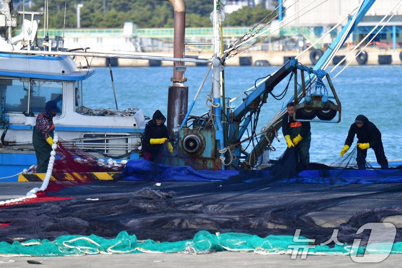 본문 이미지 - 경북 포항시 북구 포항수협 부두에서 출항을 앞둔 선원들이 그물을 손질하고 있다. ⓒ 뉴스1 최창호 기자