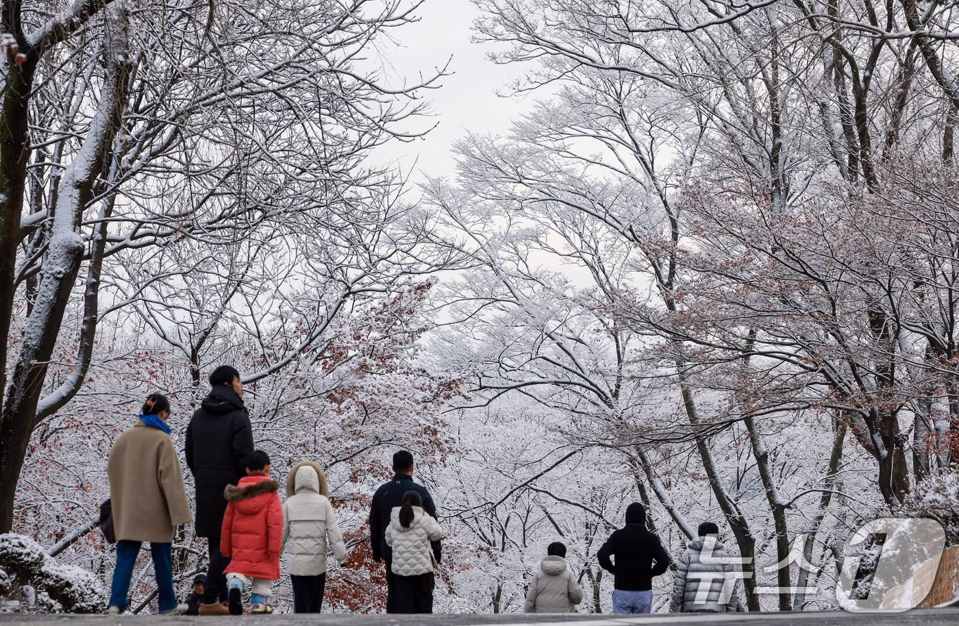 지난 밤 내린 눈이 쌓인 14일 서울 용산구 남산공원을 찾은 시민들이 겨울풍경을 만끽하고 있다. 2025.12.14/뉴스1 ⓒ News1 이호윤 기자