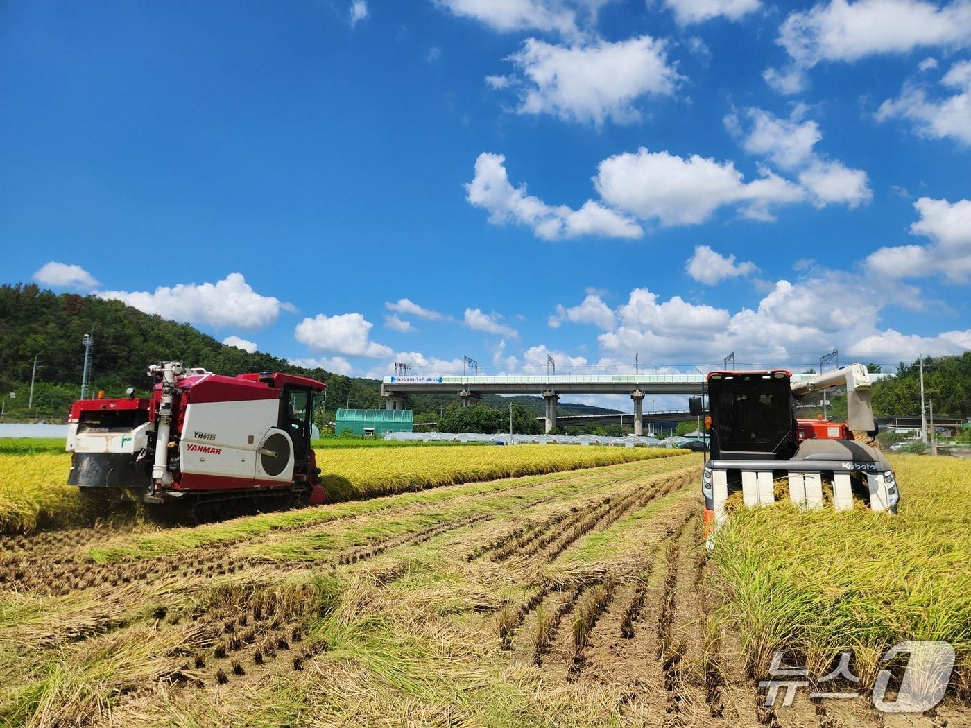 본문 이미지 - 대구 달성군은 기본형 공익직접지불금 지급 대상 6387농가를 확정하고 69억 원을 순차적으로 지급한다. (대구 달성군 제공. 재판매 및 DB금지)