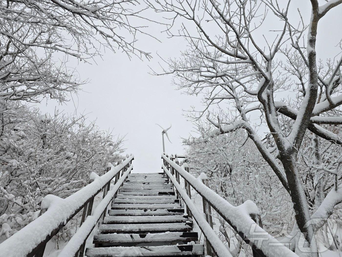 본문 이미지 - 밤사이 대설주의보가 내려진 14일 전북 무주군 덕유산 설경.(덕유산공원사무소 제공. 재판매 및 DB금지) 2025.12.14/뉴스1 ⓒ News1 장수인 기자