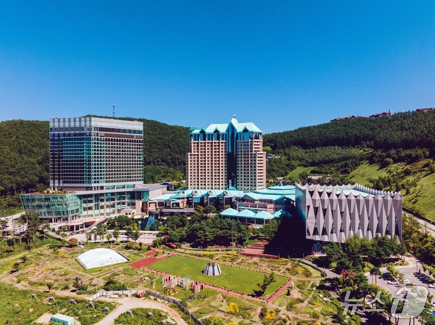 본문 이미지 - 강원랜드. (재판매 및 DB금지)/뉴스1