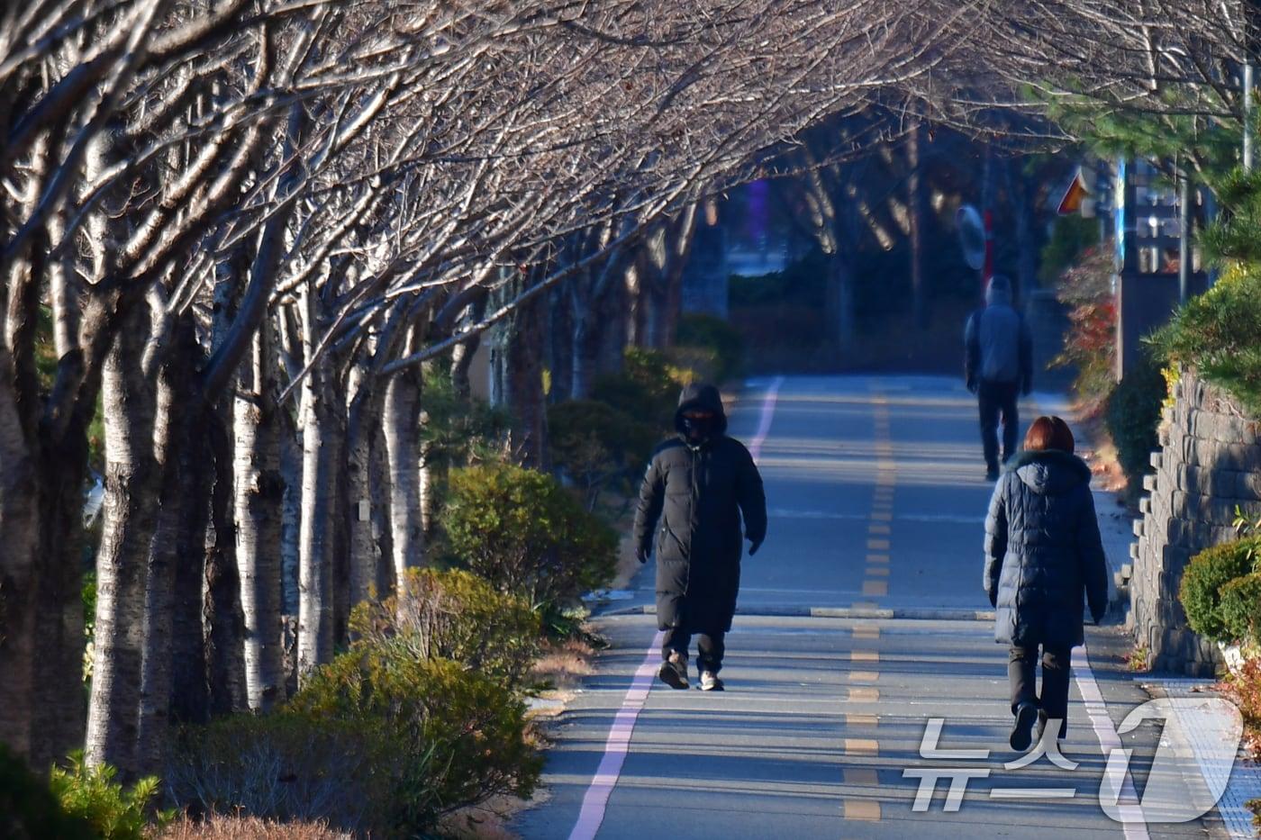 15일 경북 포항시 남구 대잠동 철길 숲에서 아침 운동을 나온 시민들이 두터운 옷 차림으로 걸어가고 있다. 2025.12.15/뉴스1 ⓒ News1 최창호 기자