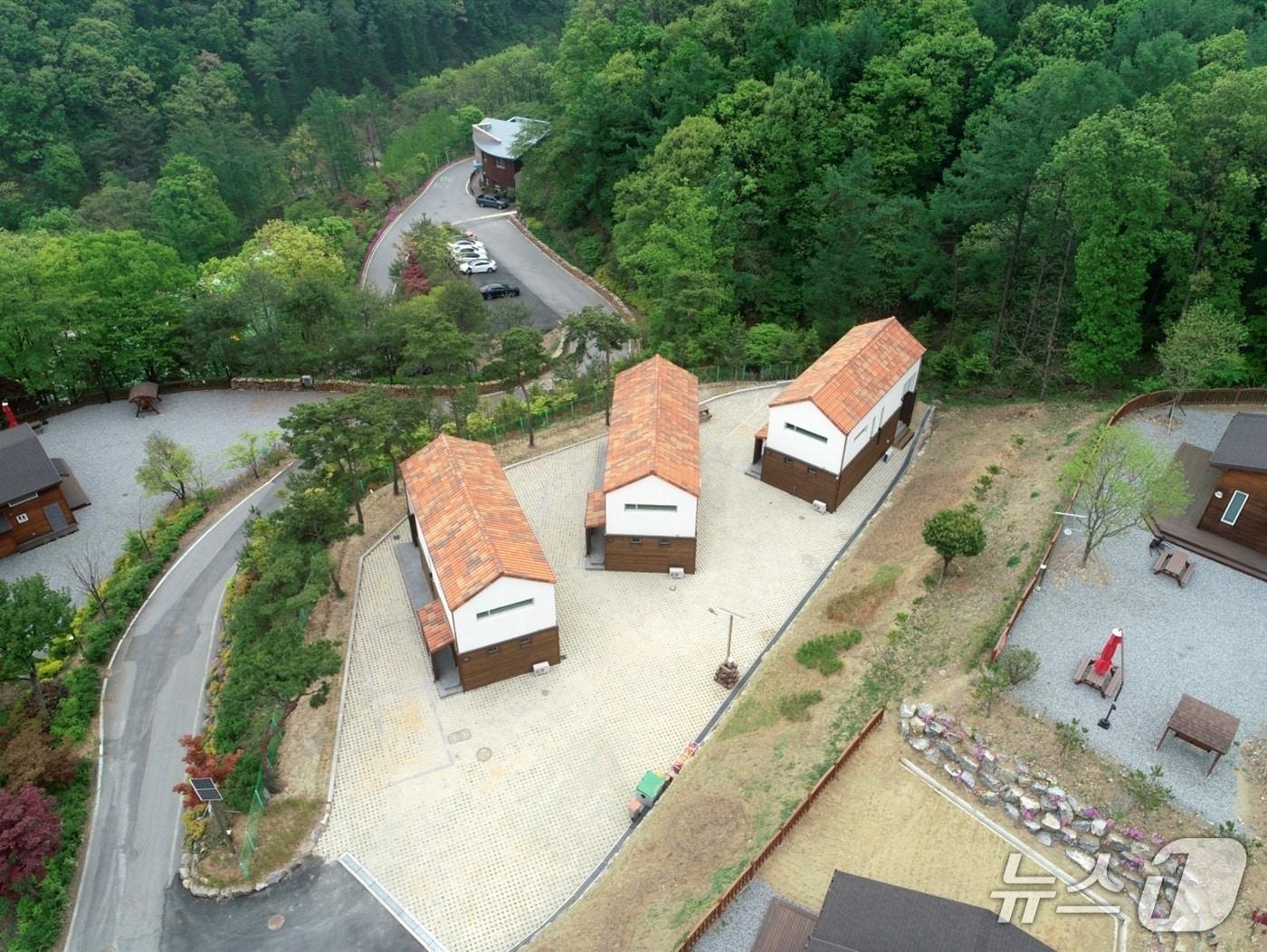 본문 이미지 - 생거진천자연휴양림 전경/뉴스1