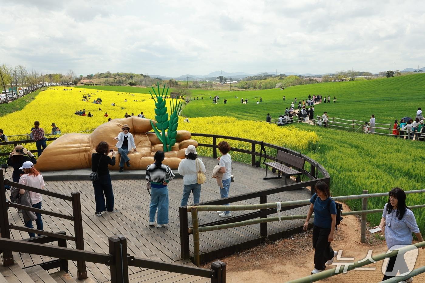 전북 고창군 청보리밭 축제 현장(고창군 제공. 재판매 및 DB금지)