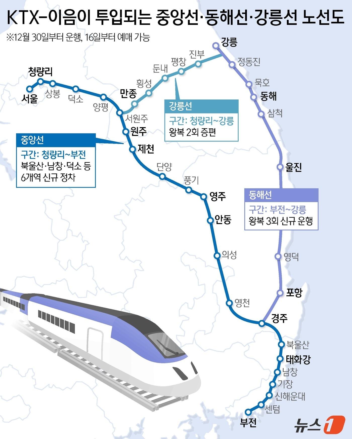 본문 이미지 - ⓒ News1 양혜림 디자이너