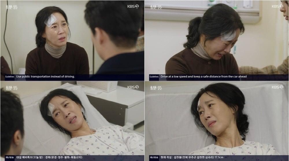 본문 이미지 - KBS 2TV &#39;화려한 날들&#39;