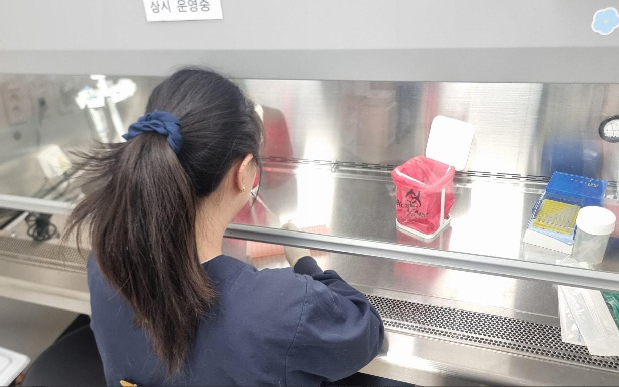 본문 이미지 - 인플루엔자 검사 모습.(충남도 제공. 재판매 및 DB금지)/뉴스1