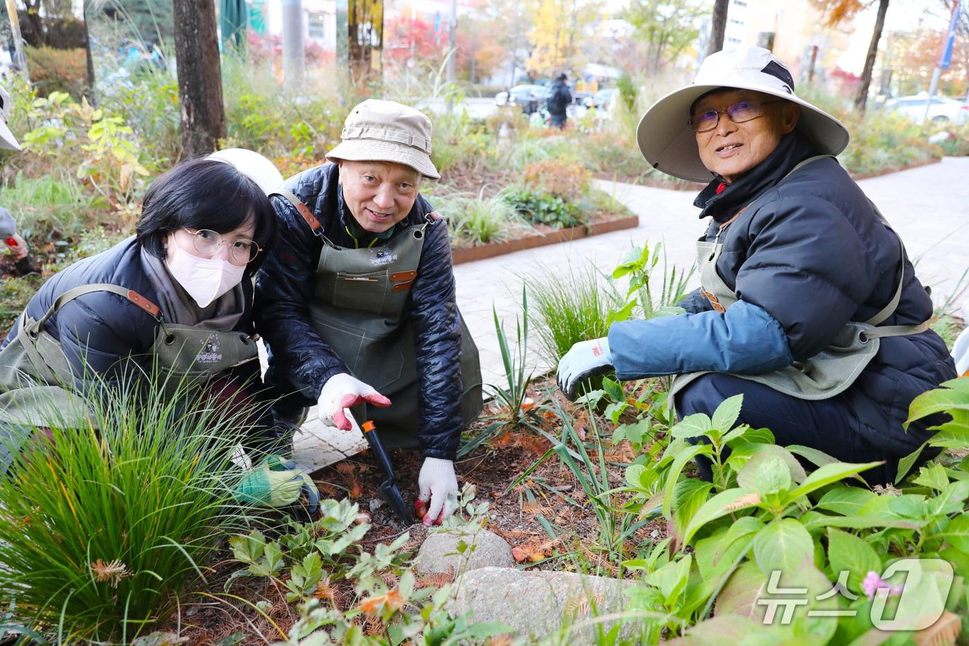 (서울 강동구 제공)  