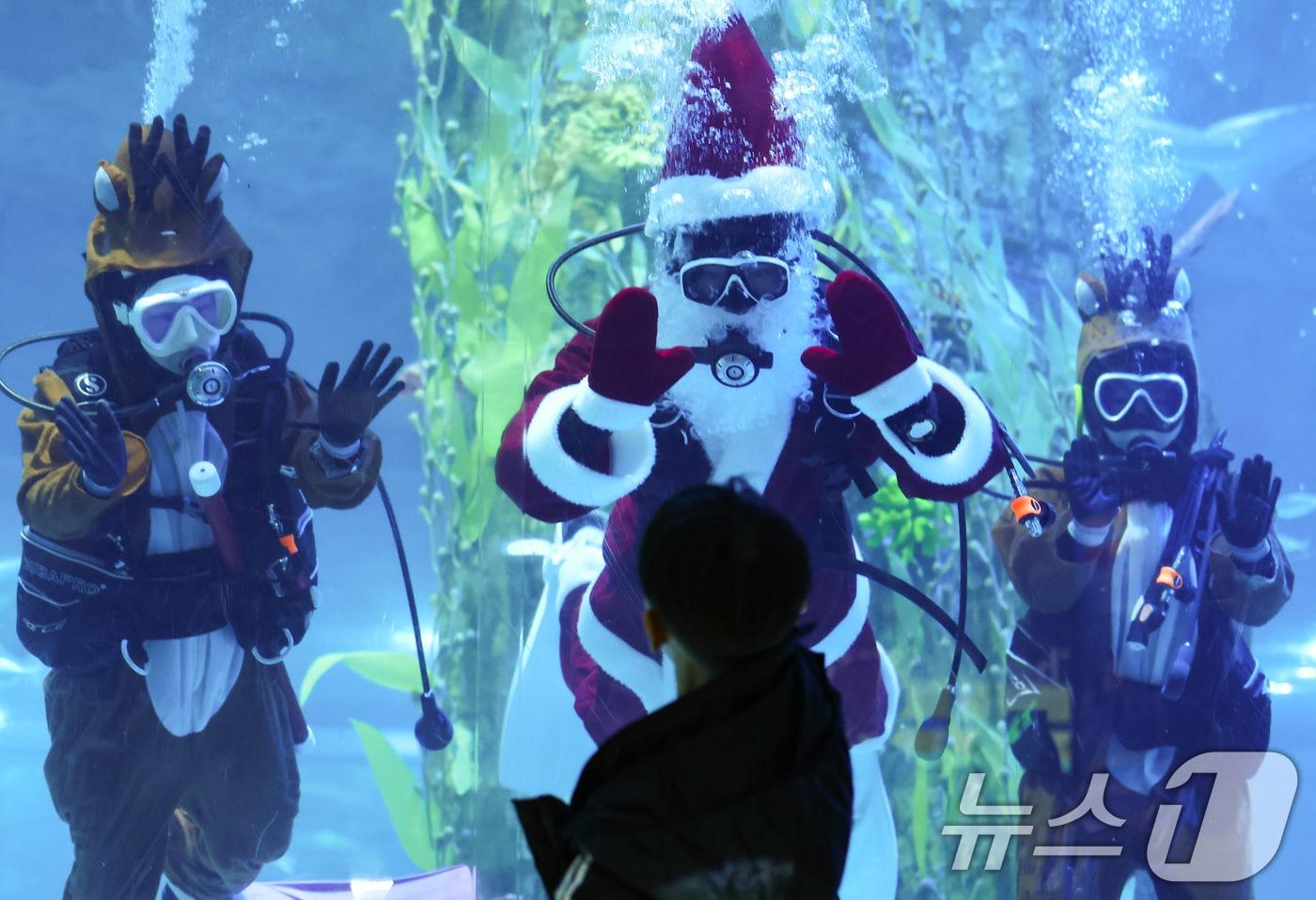 16일 서울 송파구 롯데월드 아쿠아리움 메인수조에서 산타와 루돌프 복장을 한 아쿠아리스트들 방문객을 향해 인사하고 있다. 롯데월드 아쿠아리움은 크리스마스를 맞아 오는 19일부터 28일까지 10일간 산타와 루돌프로 변신한 아쿠아리스트가 하루 2회(오후 2시, 4시30분) 수중 퍼포먼스를 선보인다. 2025.12.16/뉴스1 ⓒ News1 김도우 기자