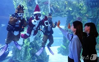 본문 이미지 - 지난 16일 서울 송파구 롯데월드 아쿠아리움 메인수조에서 산타와 루돌프 복장을 한 아쿠아리스트들 방문객을 향해 인사하고 있다.  2025.12.16/뉴스1 ⓒ News1 김도우 기자