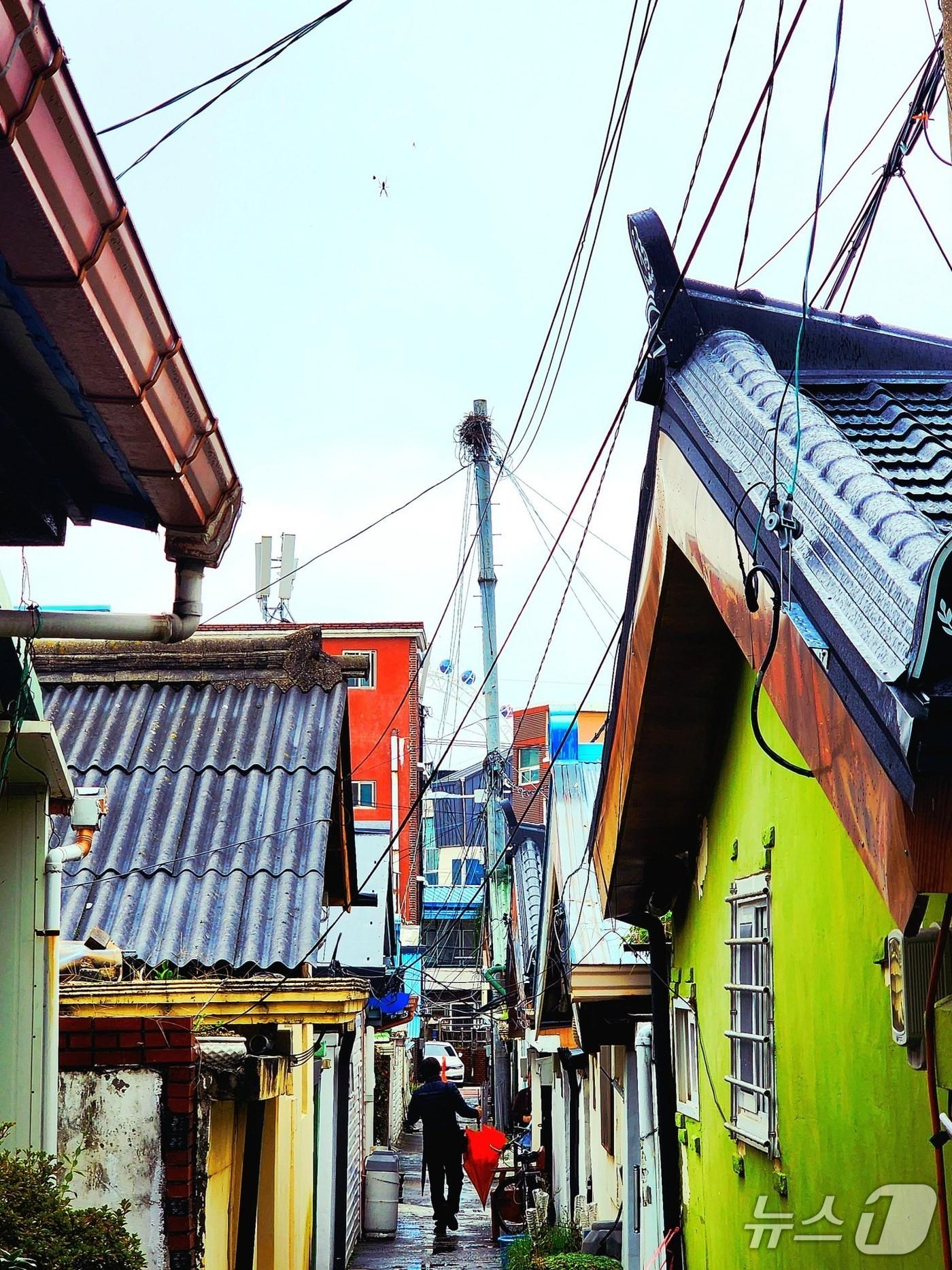 본문 이미지 - '인생사진 맛집, 속초' 대상 수상작인 '새마을길 비오는 어느날'.(속초시 제공, 재판매 및 DB 금지) 2025.12.16/뉴스1