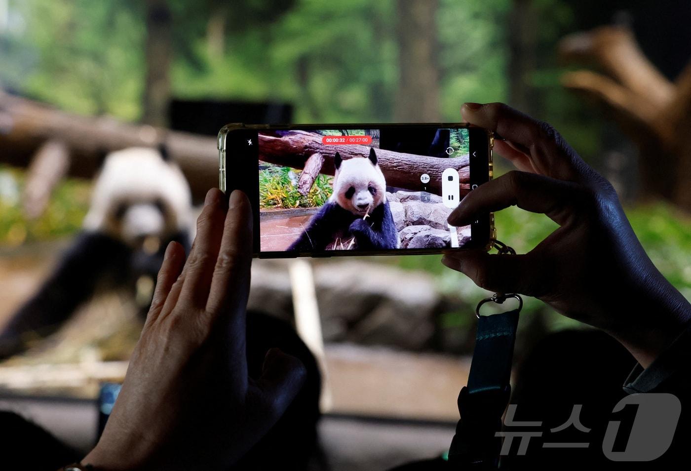 본문 이미지 - 일본 도쿄 우에노 동물원이 16일 판다 레이레이를 보러 온 방문객들로 붐비고 있다. 일본 정부가 내달 말 중국에 판다 2마리를 모두 반환하기로 결정했다는 사실이 알려지며 이 동물원의 방문객이 크게 증가했다. 2025.12.16 ⓒ 로이터=뉴스1 ⓒ News1 강민경 기자