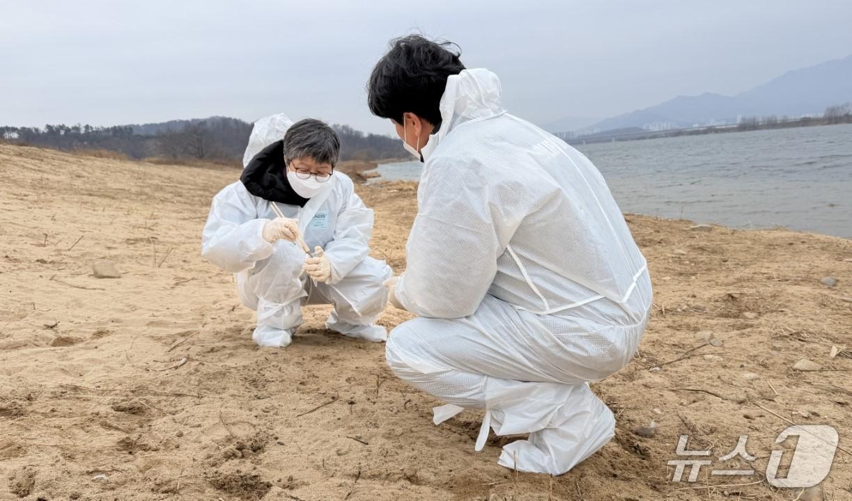 본문 이미지 - 조류인플루엔자 선제 대응에 나선 대구환경청이 겨울철 주요 철새 도래지인 지산샛강과 해평습지에서 철새 현황을 파악하고 야생조류 분변을 채집했다.(대구환경청 제공. 재판매 및 DB 금지) 2025.12.16/뉴스1