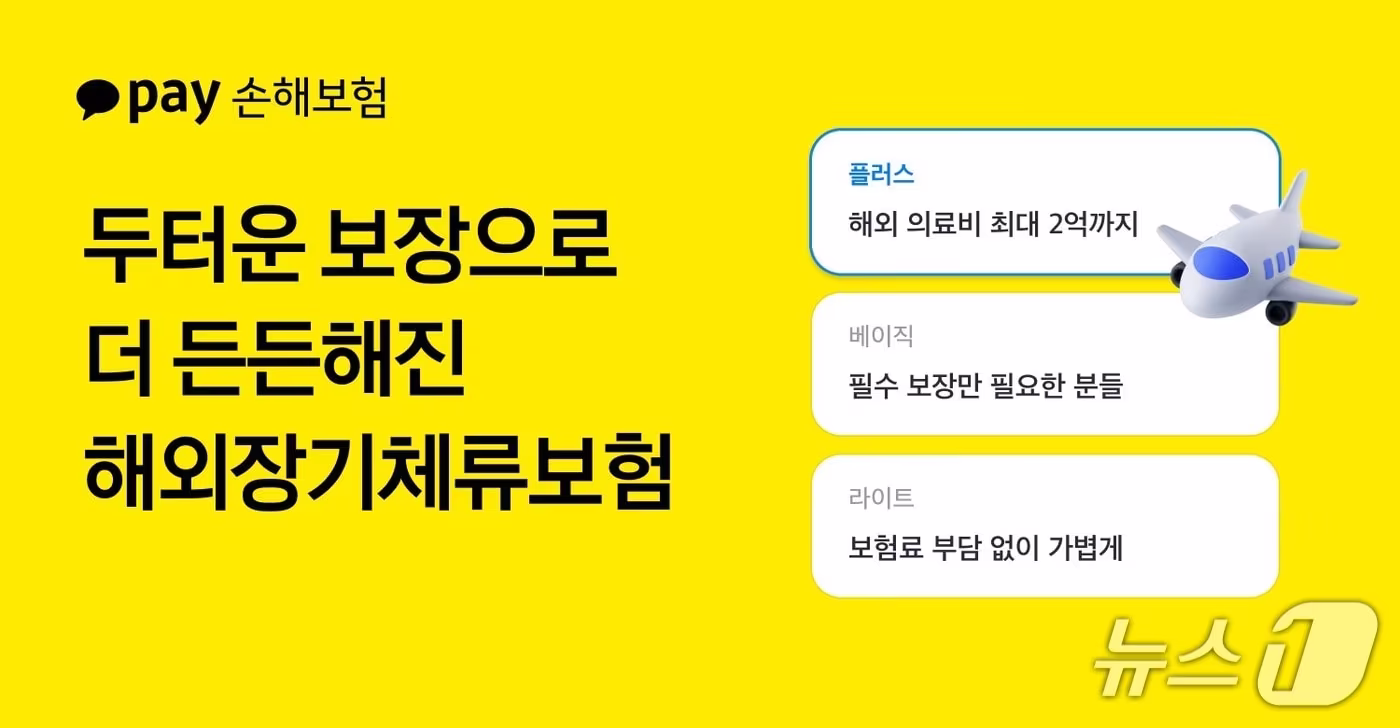 (카카오페이손해보험 제공).