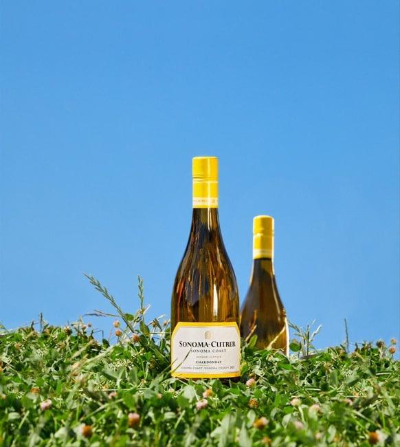 본문 이미지 - (금양인터내셔날 제공)