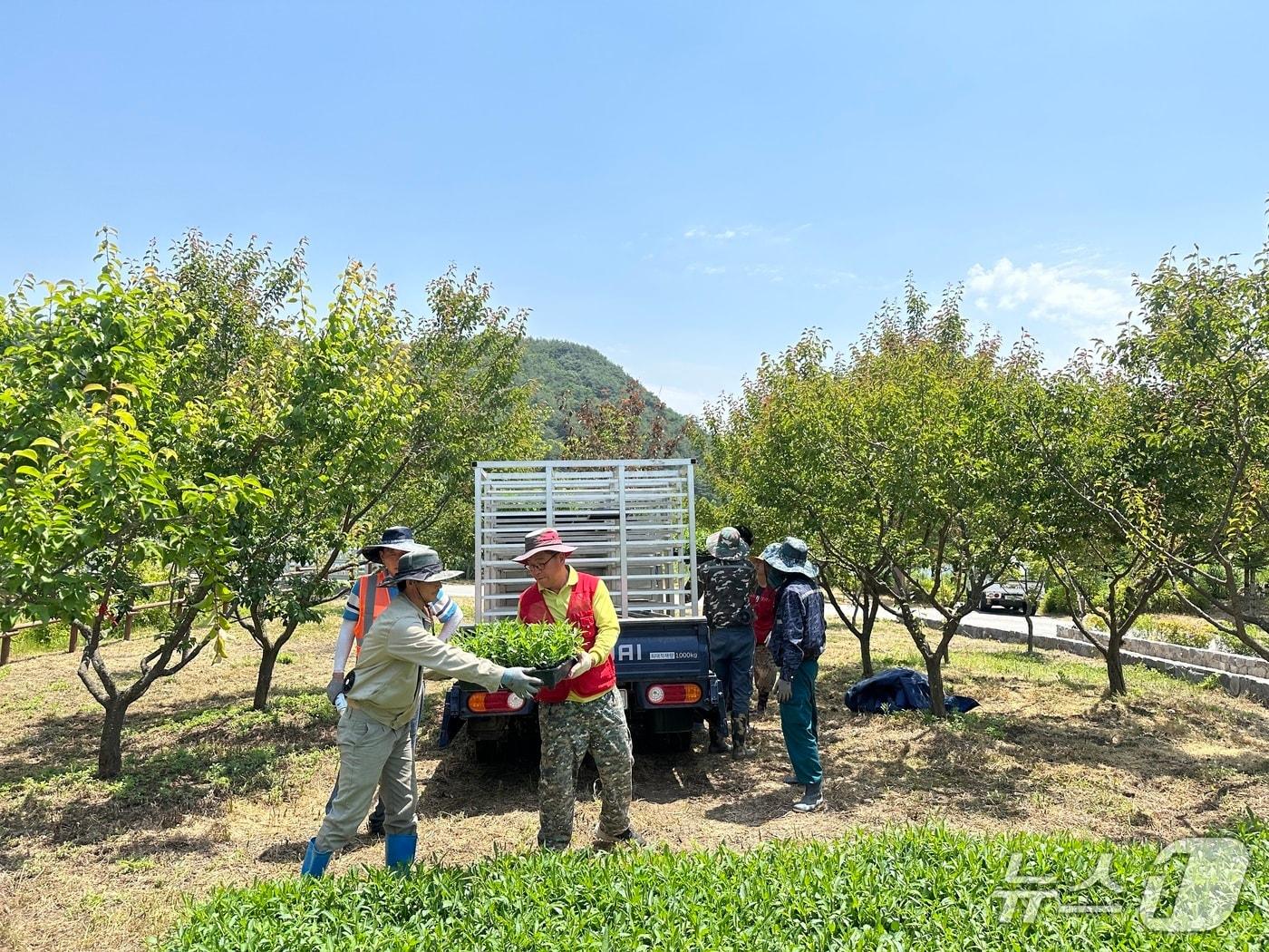 본문 이미지 -  한국수목원정원관리원 지역상생사업(한국수목원정원관리원 제공.재판매 및 DB금지) /뉴스1