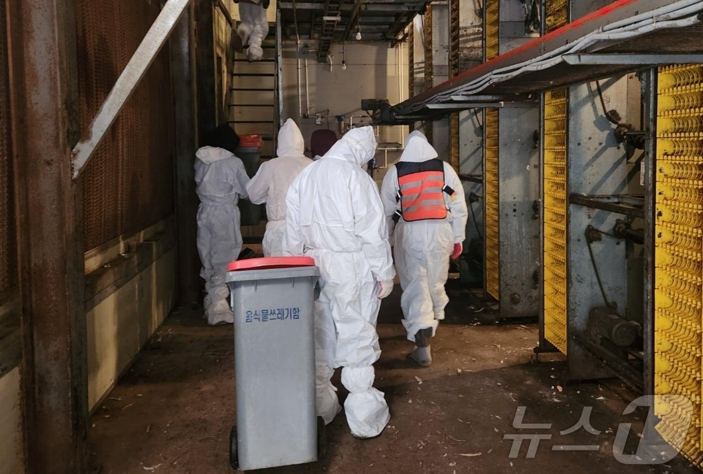 17일 충북 괴산 산란계 농장에서 고병원성 조류인플루엔자(AI)가 발생해 방역당국이 매몰처분 작업을 벌이고 있다.(괴산군 제공).2025.12.17/뉴스1 ⓒ News1 이성기 기자
