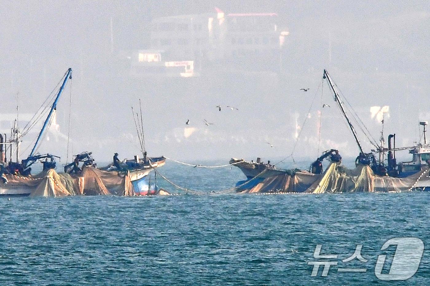 17일 경북 포항시 북구 영일대해수욕장 앞바다에서 멸치작업 선단이 그물을 올리고 있다. 2025.12.17/뉴스1 ⓒ News1 최창호 기자