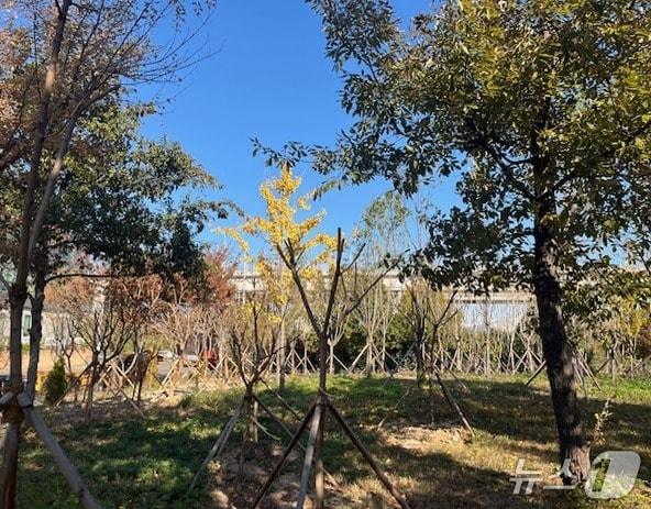 본문 이미지 - 울산 신일반산단 내에 조성된 도시숲. (울산시 제공. 재판매 및 DB 금지) /뉴스1